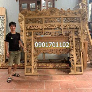 Thiều châu gỗ dổi